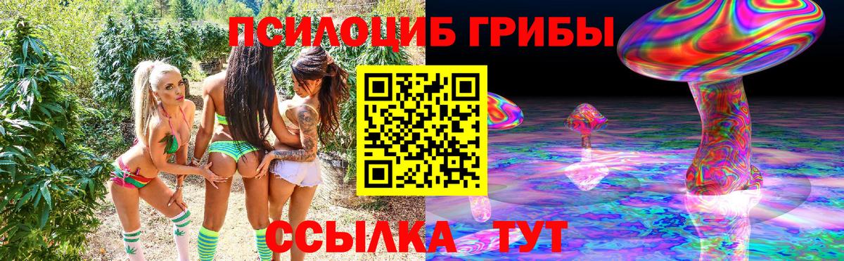 Нарткала  купить наркоту  Вход с VPN  Галлюциногенные грибы MAGIC MUSHROOMS 
